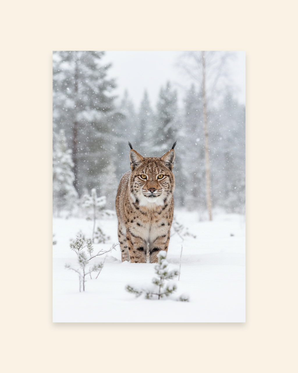 Luchs im Schneewald Poster