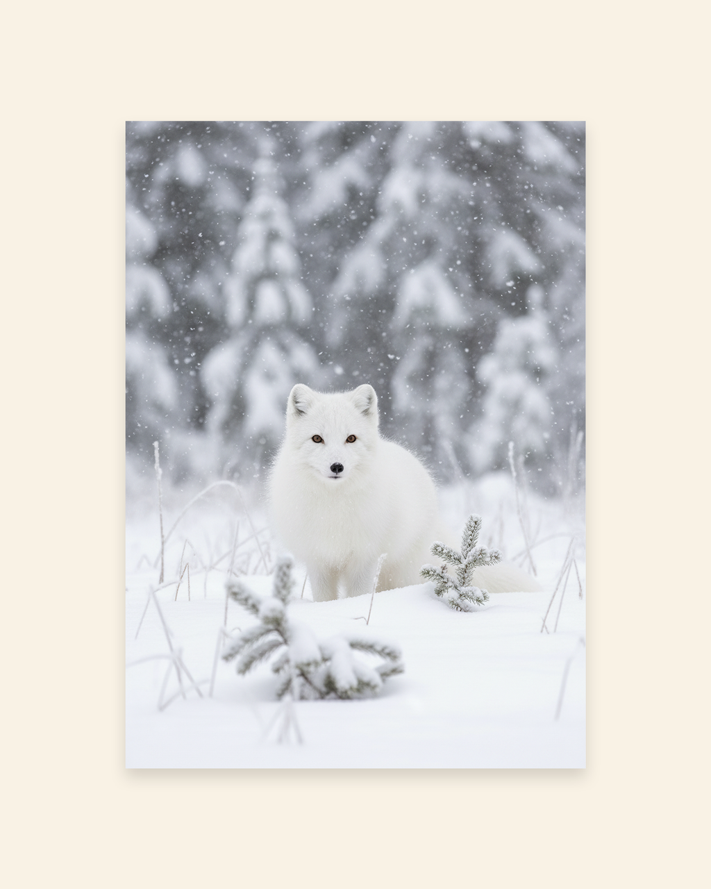Polarfuchs im Schneewald Poster