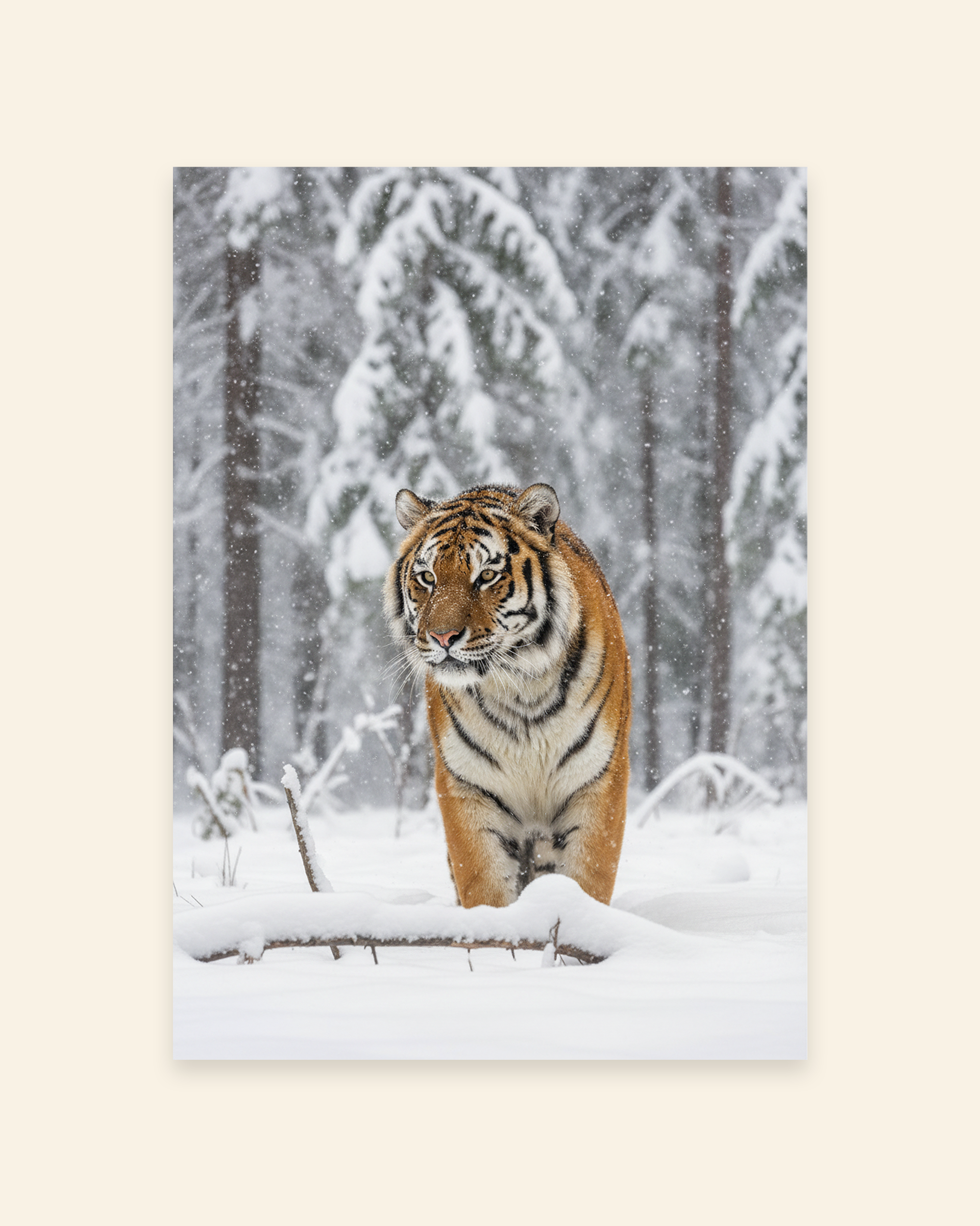 Sibirischer Tiger im Schneewald Poster