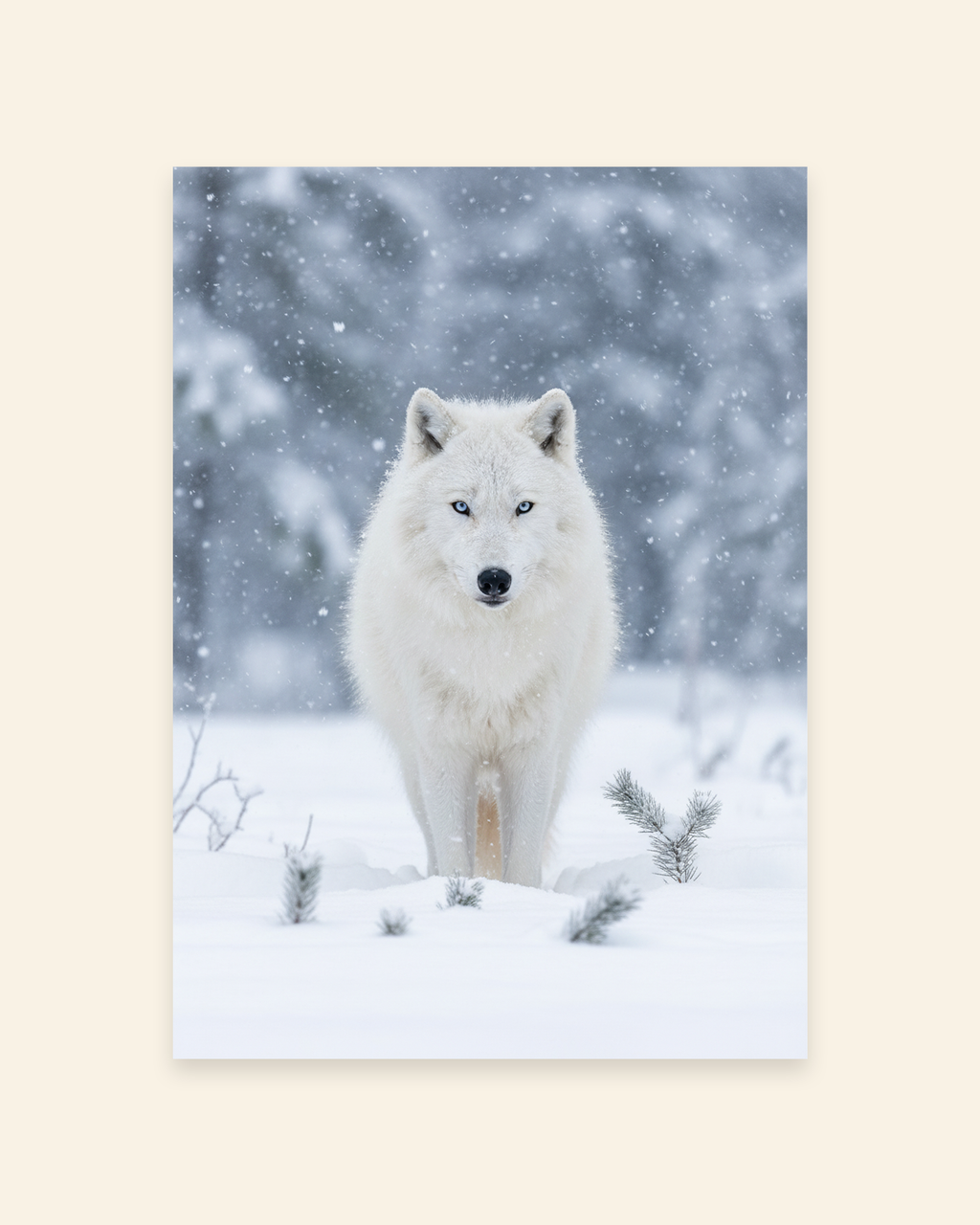 Weißer Wolf im Schneesturm Poster
